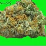 Alien OG