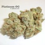 Platinum OG