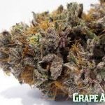 Grape Ape