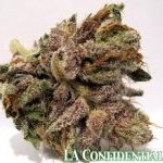 LA Confidential