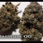 Platinum OG